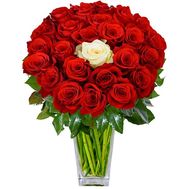 24 red roses and 1 white