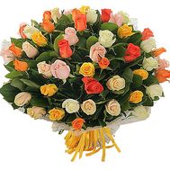 65 multi-colored roses