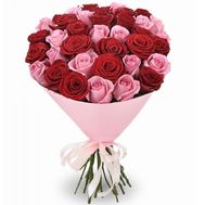 35 red and pink roses