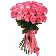 25 pink roses