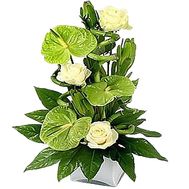 Flowers for men in a box
