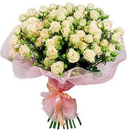 Flowers rose bush