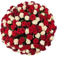 Giant bouquet of roses 251 roses