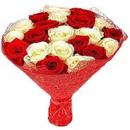23 red and white roses