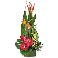 Men`s flowers