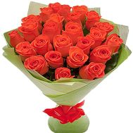 25 orange roses