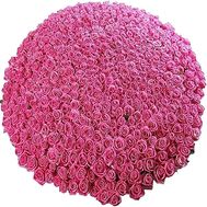 The biggest bouquet of pink roses