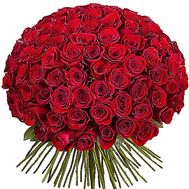 101 Dutch roses