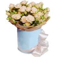 15 bush cream roses in a box