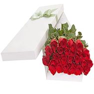 25 imported roses in a box
