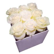 9 white roses in a square box