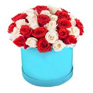 White and red roses in a round box