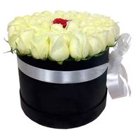 White roses and one red in a box