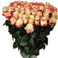 Big roses