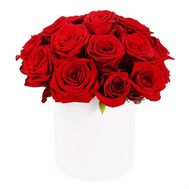 Bordeaux roses in a round box