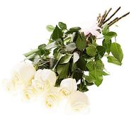 Bouquet of 7 imported white roses