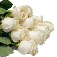 Bouquet of imported white roses