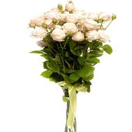 Bouquet of bush roses