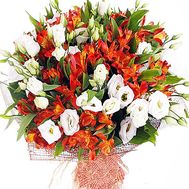 Bouquet of wildflowers