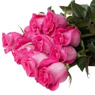 Ecuadorian meter pink roses