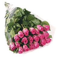 Dutch pink roses