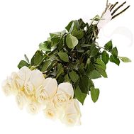 Imported white roses
