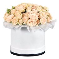 Box of 25 cream-colored roses