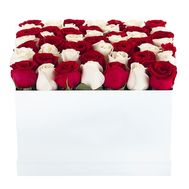 Red white roses in a box