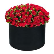 Red bush roses in a box