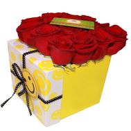 Red roses in a square box