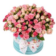 Shrub roses in a round box