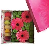 Macaroons and flowers set