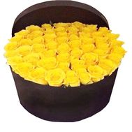 Huge box of yellow roses