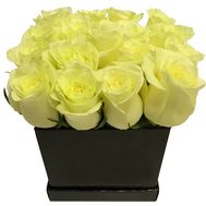 White roses in a square box