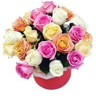 Roses of different colors in the box