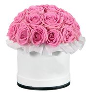 Roses are pink in box