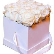 Roses in a square box