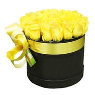 Yellow roses in a round box