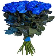 Blue Roses