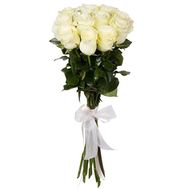 Roses of the sort Mondial