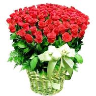 101 import roses in the basket