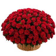 201 red rose in the basket