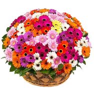 Large basket of flowers with gerberas