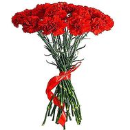 Bouquet of 25 carnations