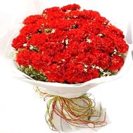 Bouquet 55 carnations to buy