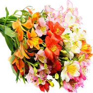 Bouquet of alstroemerias