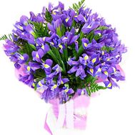Irises for the beloved