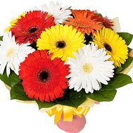 Bouquet of gerberas