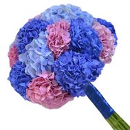 Bouquet of hydrangea