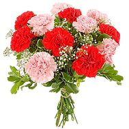 Bouquet of carnations